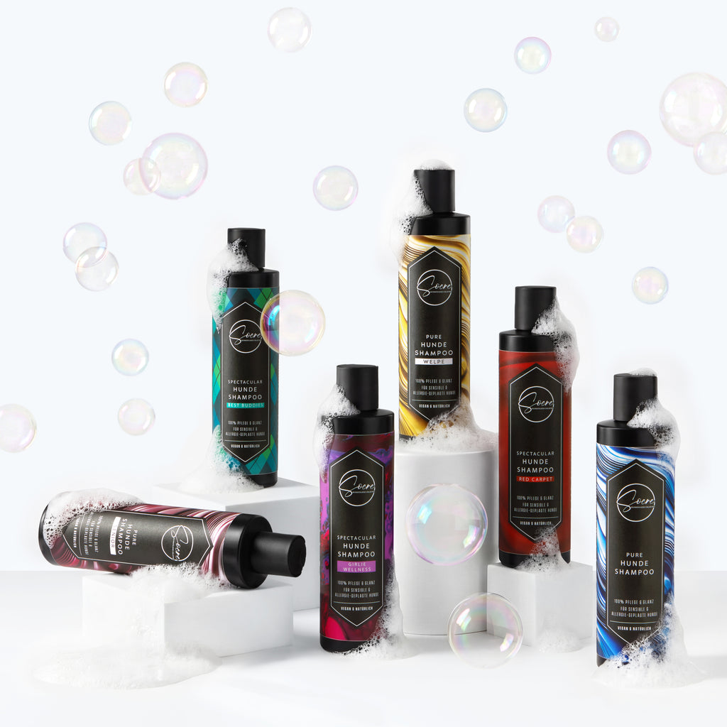 Natürliches Hunde Shampoo für glänzendes Fell Red Carpet | SPECTACULAR (250ml)