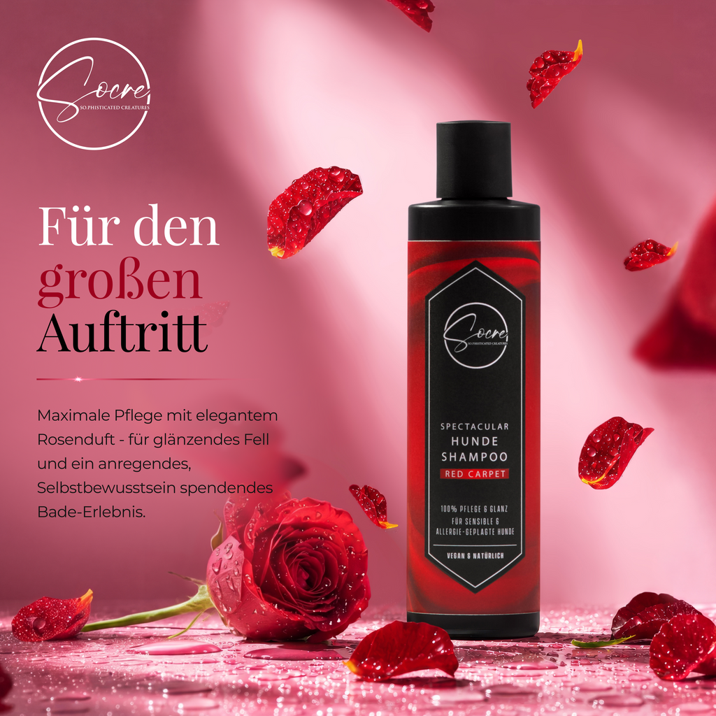 Natürliches Hunde Shampoo für glänzendes Fell Red Carpet | SPECTACULAR (250ml)