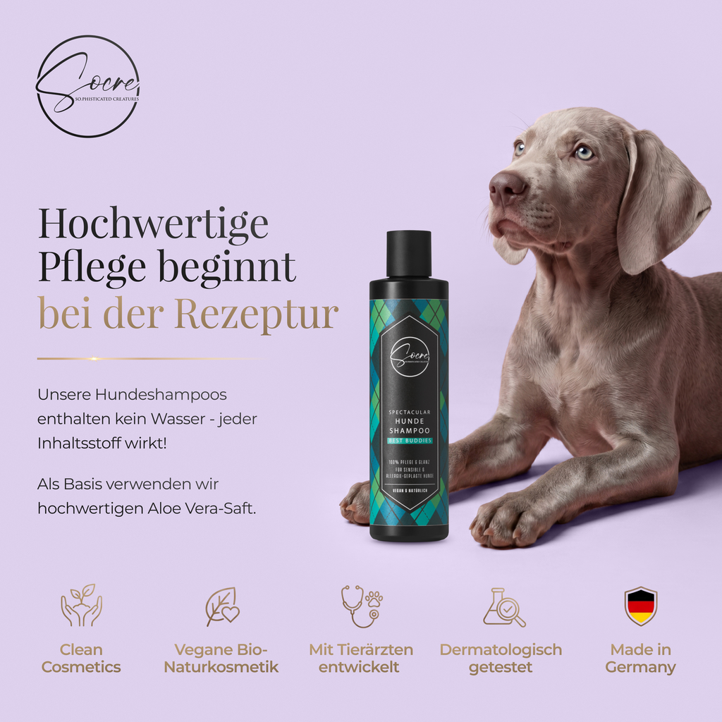 Natürliches Hunde Shampoo für Rüden mit Lavendelduft | SPECTACULAR (250ml)
