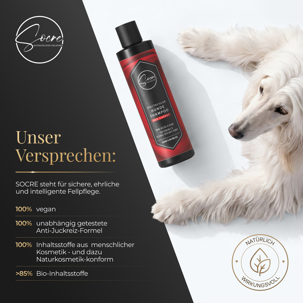 Natürliches Hunde Shampoo für glänzendes Fell Red Carpet | SPECTACULAR (250ml)