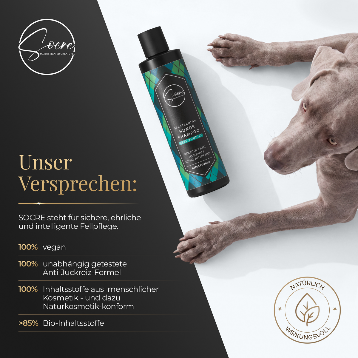 Natürliches Hunde Shampoo für Rüden mit Lavendelduft | SPECTACULAR (250ml)