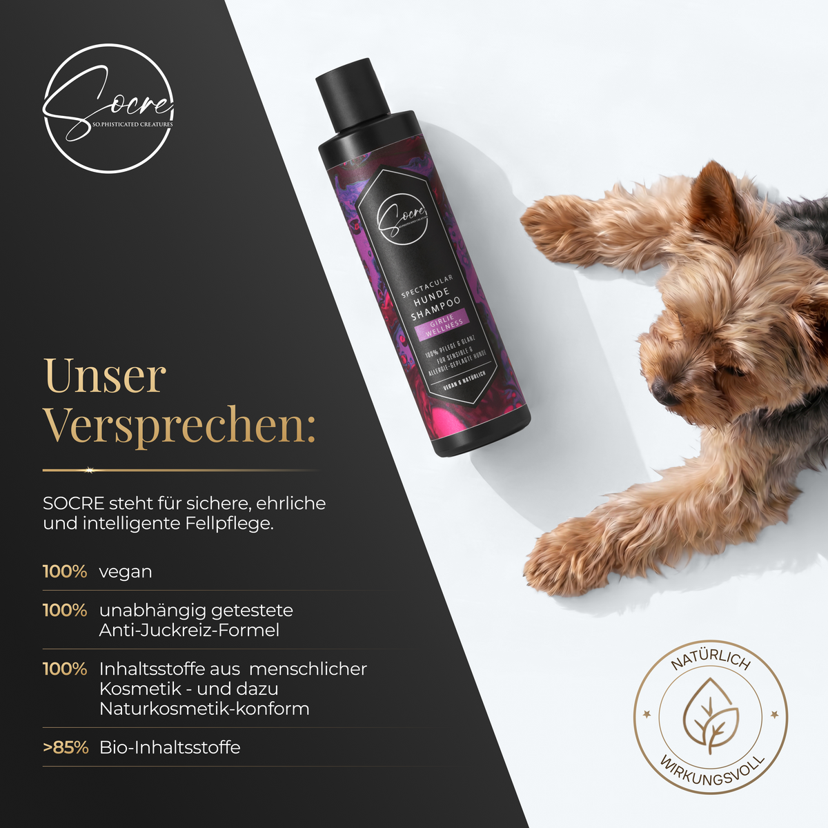 Natürliches Hunde Shampoo mit Duft | Vegan & sanft für empfindliche Hunde | SPECTACULAR (250ml)