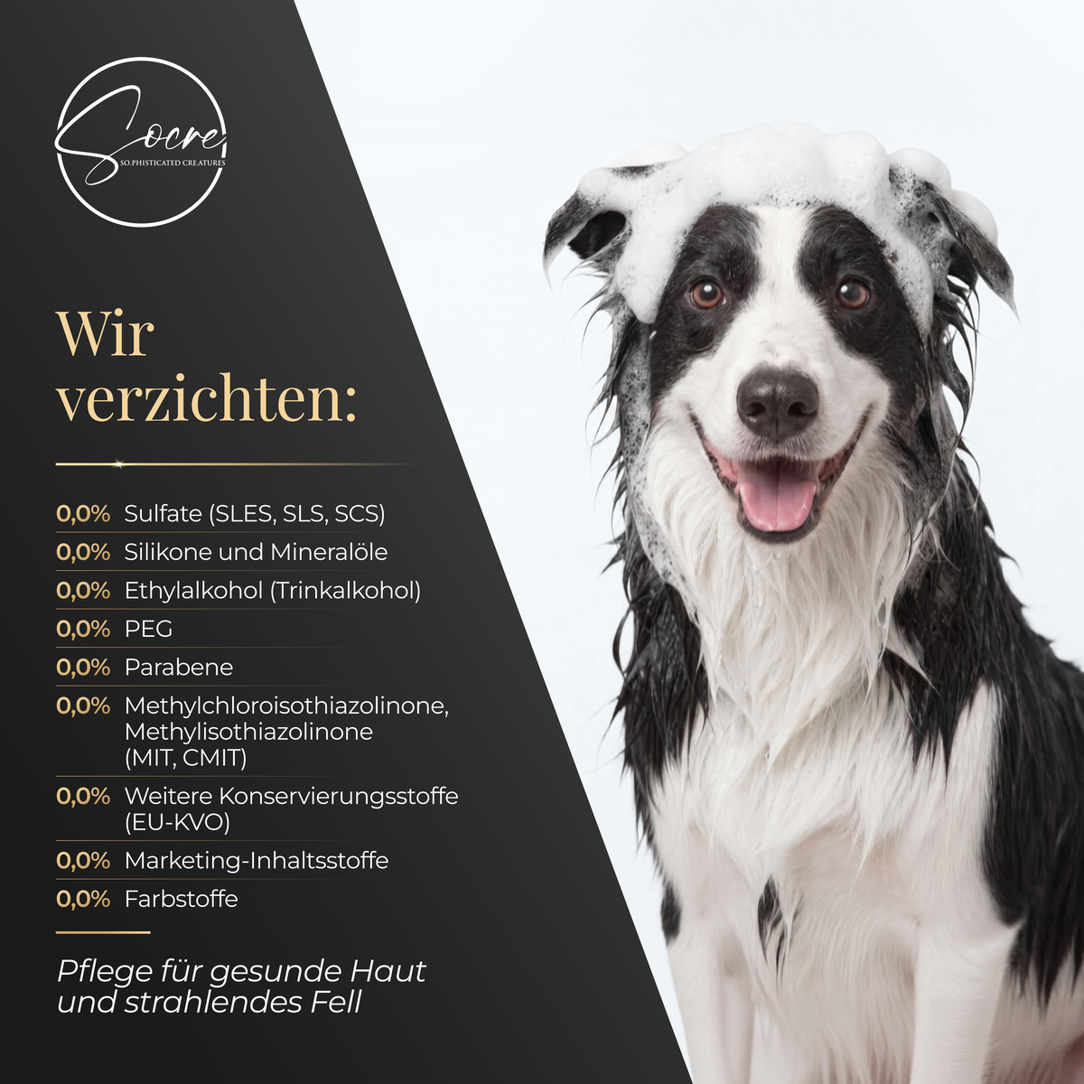 Natürliches Hunde Shampoo für glänzendes Fell Red Carpet | SPECTACULAR (250ml)