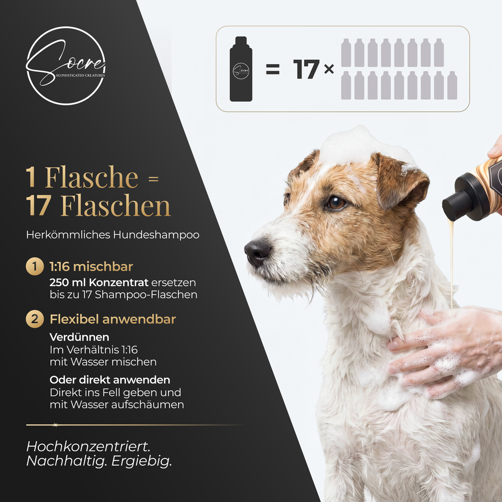 Natürliches Hunde Shampoo mit Duft | Vegan & sanft für empfindliche Hunde | SPECTACULAR (250ml)