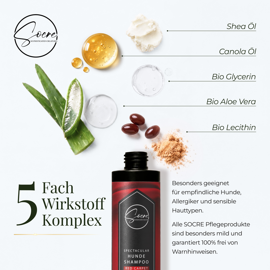 Natürliches Hunde Shampoo für glänzendes Fell Red Carpet | SPECTACULAR (250ml)