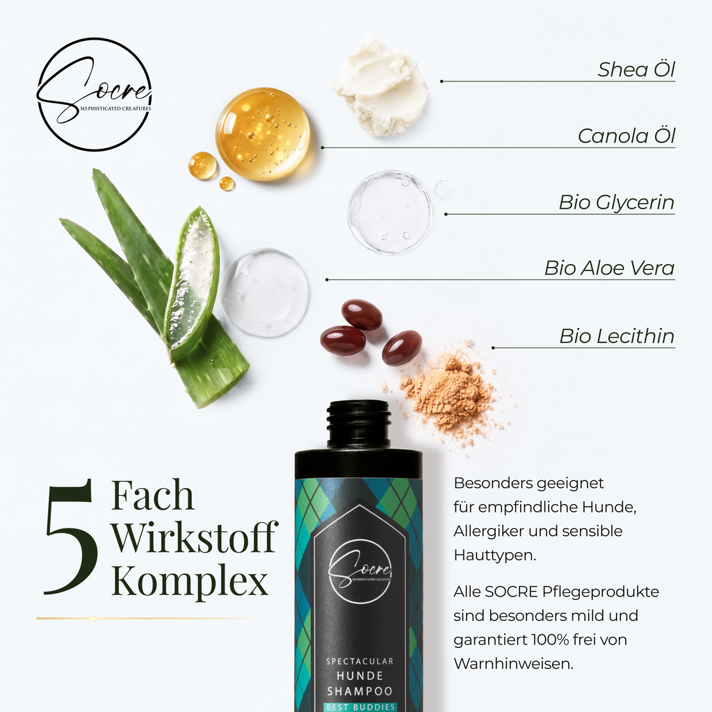 Natürliches Hunde Shampoo für Rüden mit Lavendelduft | SPECTACULAR (250ml)