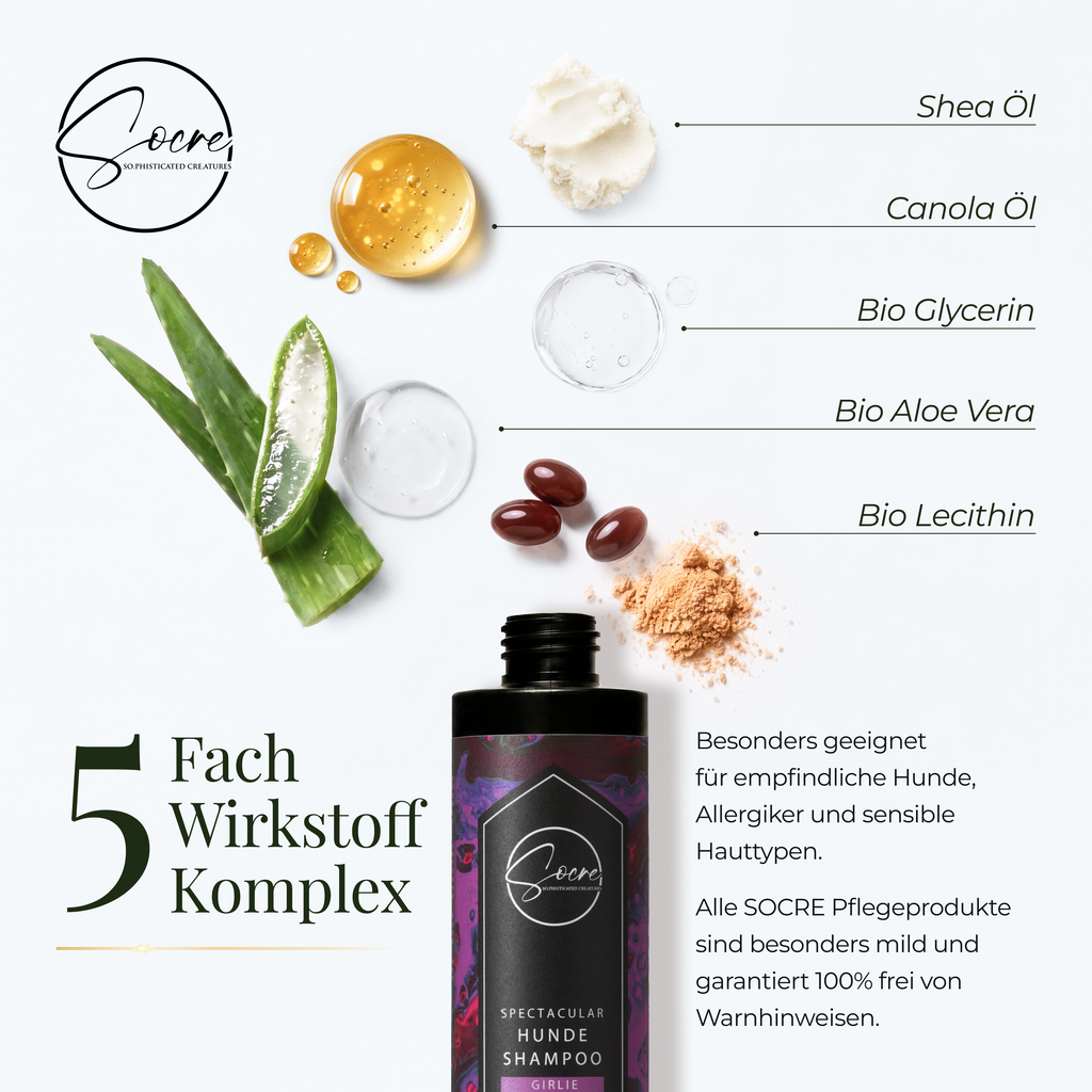 Natürliches Hunde Shampoo mit Duft | Vegan & sanft für empfindliche Hunde | SPECTACULAR (250ml)